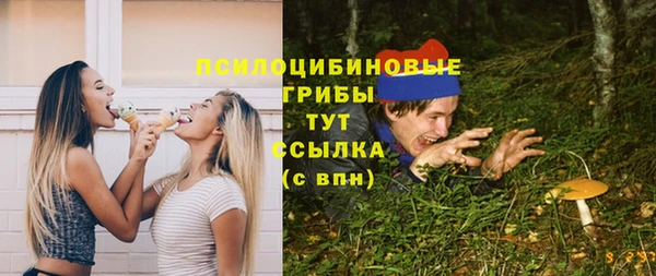 соль ск Аркадак