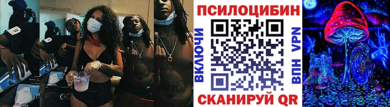 Псилоцибиновые грибы Psilocybe  Ярцево 